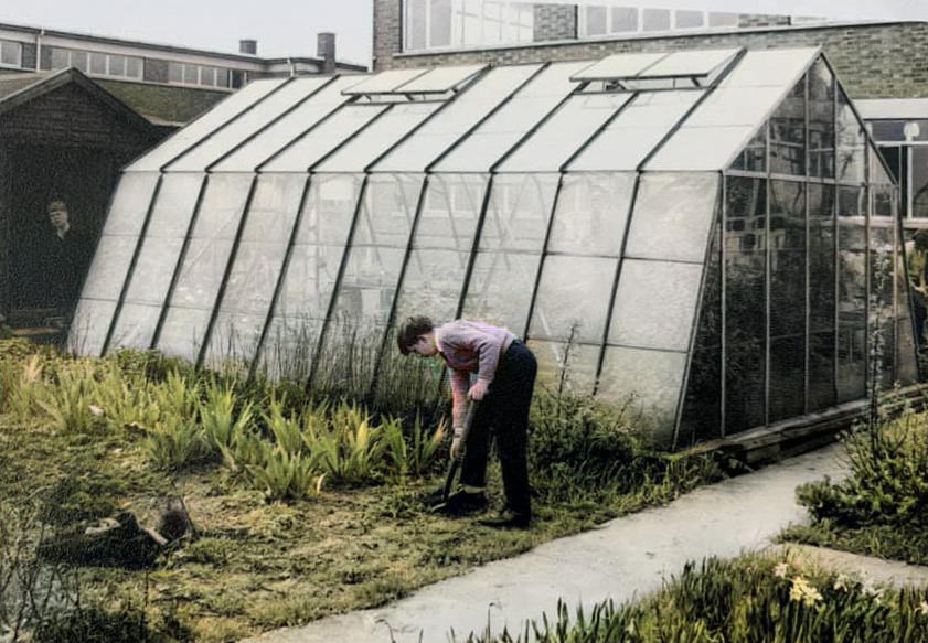 gardening